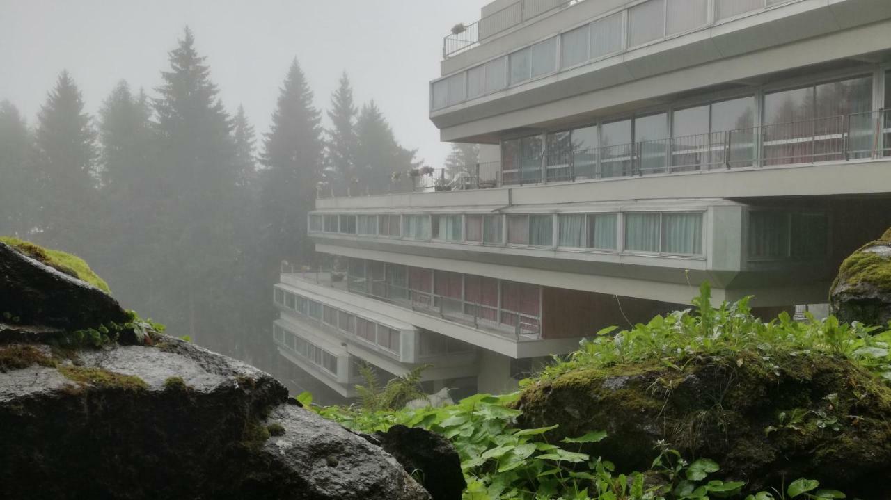 Appartamento Ventisei - Cipat 22114 马里尔伊瓦 外观 照片